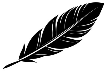 Feather silhouette icon illustration vector template on white background.