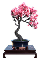 Wall Mural - 3D Rendering Pink Blooming Sakura Tree on White