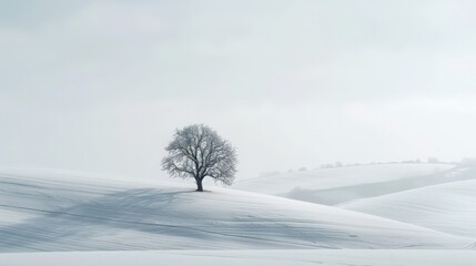 Wall Mural - A serene winter scene featuring a snow-covered field with a single, solitary tree standing against the backdrop of rolling hills and a soft, overcast sky