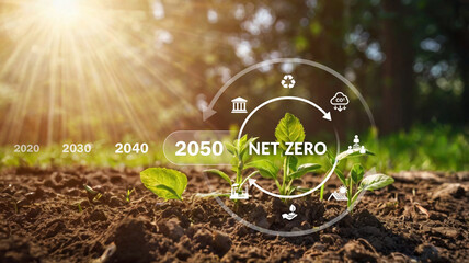 Net zero , carbon neutral concept. Net zero greenhouse gas emissions target 2050. Climate neutral long term strategy 2050 with net zero polygonal icons on closeup green you.illustration, generative ai