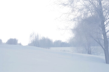 Wall Mural - PNG  Winter snow landscape blizzard.