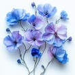 © Kakabe - Beautiful blue and purple flowers with delicate petals on a white background perfect for nature-themed designs, greeting cards, and home decor,
