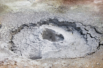 Wall Mural - Russia Kamchatka mud volcanoes in the Uzon caldera on a summer cloudy day