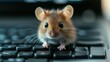 © fourtakig - A curious office mouse scurrying across the computer keyboard, their tiny form and nimble movements creating a playful, unexpected distraction
