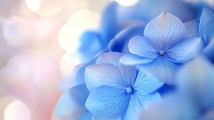 Sticker - Delicate Blue Hydrangea Petals