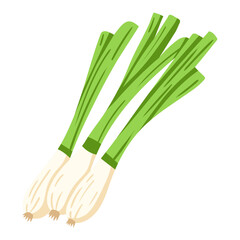 Wall Mural - green onions illustration for card website, application, printing, document, poster design, etc.