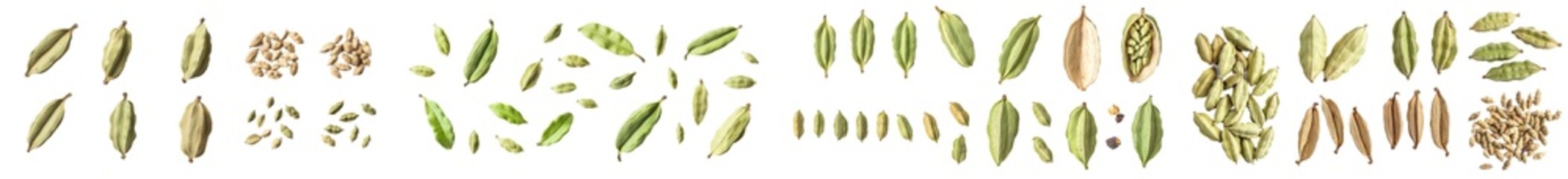 Sticker - Intensely focused cardamom isolated on white