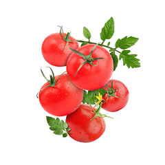 Sticker - Fresh tomatoes with green leaves in air on white background