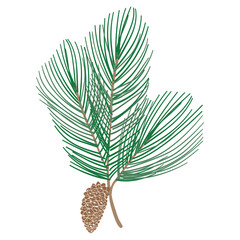 Wall Mural - Cute pine tree branch sticker design element