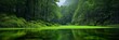 © StockUp - A peaceful forest features lush green foliage and a calm, reflective body of water, epitomizing tranquility and natural beauty.