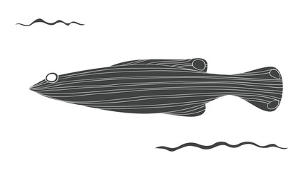 Fish png illustration, transparent background