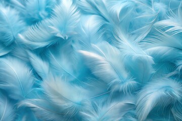 Wall Mural - soft blue feathers creating dreamy and delicate background