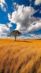 Wall Mural - Solitary tree in golden field under blue sky with clouds, serene nature scene