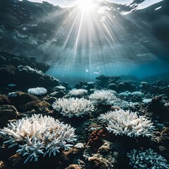 Wall Mural - vibrant underwater coral reef landscape highlighting climate change effects