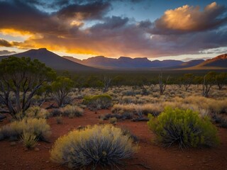 Poster - Sunrise illuminates Wilpena Pound, Flinders Ranges landscape