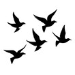 © Graphics Studio - silhouettes of birds  transparent background png file,