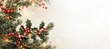 © spyrakot - Festive Holiday Email Signature Design with Holly Leaves and Berries for Christmas Communication