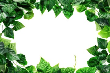 Poster - A frame of green leaves on a white background, suitable for design and decoration