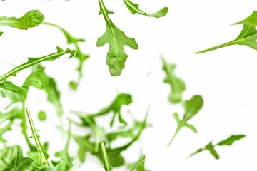 Poster - A detailed view of a cluster of lush green leaves, ideal for use in designs related to nature and the environment