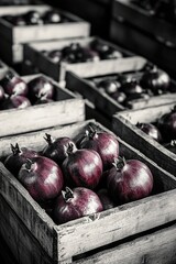 Sticker - Red Onion Box