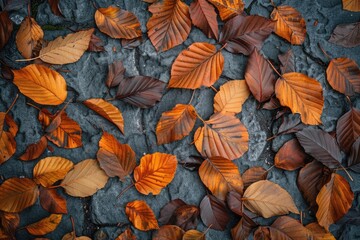 Poster - A pile of fallen leaves on the forest floor