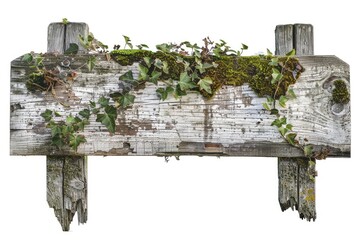 Poster - A tree stump with greenery and small plants growing on top, perfect for nature or outdoors scenes