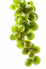 Poster - A bunch of green grapes hanging from a branch