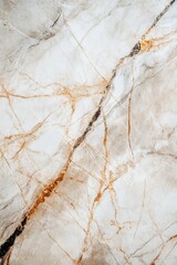 A close-up of a marble texture with veins and cracks, showcasing the natural beauty and patterns of this type of stone.