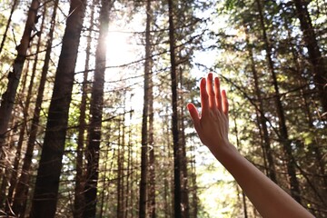 Sticker - Young hiker enjoying time in forest on sunny day, closeup