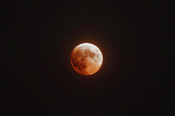 Wall Mural - people watching a lunar eclipse | stargazing and celestial phenomenon under the night sky