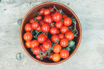 Wall Mural - Cherry tomatoes in a bowl