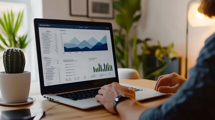 Poster - Businessman Analyzing Data On Laptop With Graphs And Charts