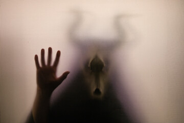 Wall Mural - Horror, halloween background - Shadowy figure with horns behind the glass