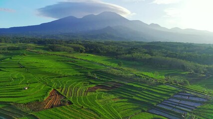 Wall Mural - Beautiful morning view indonesia. Panorama Landscape paddy fields with beauty color and sky natural light