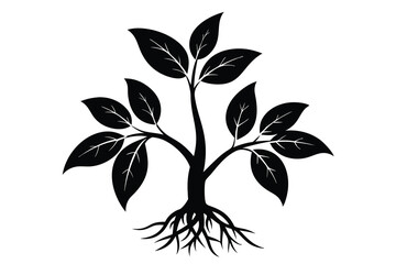 Wall Mural - ginseng plant silhouette R.eps