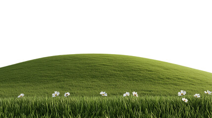 rolling hills with daisies isolated on transparent background