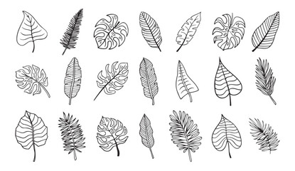 Wall Mural - palm tropical exotic leaves outline sketch. tropical palm leave doodle, isolated linear doodle style