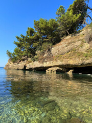 Sticker - Sea clear water and rocks overgrown pine trees in Montenegro