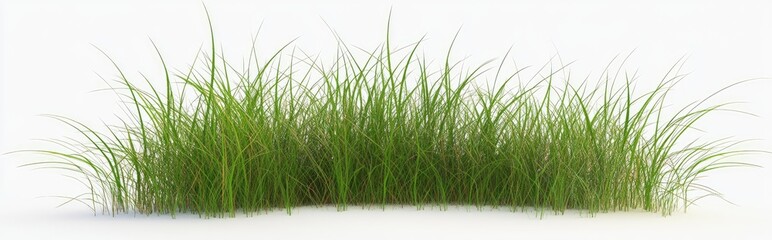 Aufkleber - Isolated grass on a white background rendered in 3D illustration