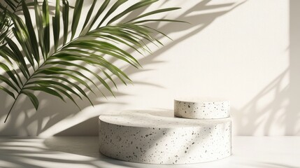 Poster - Terrazzo podium featuring shadows of tropical palm leaves ideal for cosmetic product display 3D rendering illustration