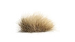 © AN STOCK - A tumbleweed rolling across the desert landscape, isolated on white background