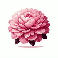 Pink peony, minimal flower flat illustration, floral resource asset for graphics design, product design, mockup modeling