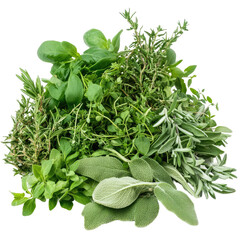 A variety of fresh herbs, including rosemary, thyme, sage, and oregano.