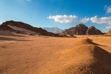 Poster - View of desert mountain landscape