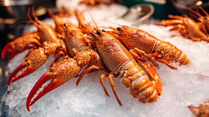 Fresh Crayfish on Ice