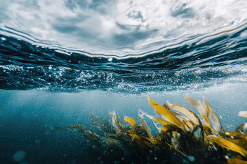 Wall Mural - Underwater scene with gentle waves and seaweed, creating serene atmosphere