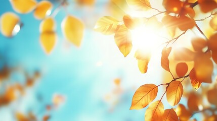 Canvas Print - Golden Autumn Leaves Shining in Sunlight