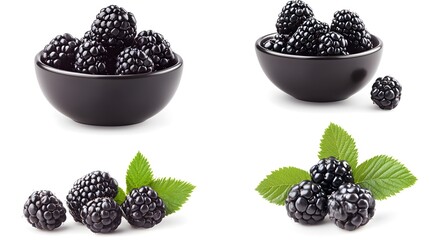 Wall Mural - Fresh blackberries collage set with single fruit on white background