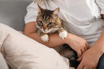 Wall Mural - Beautiful mature woman with cute cat sitting on sofa at home, closeup