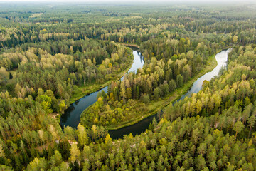 Aerial view of Sventoji river winding through autumn forest. Beautiful aerial forest scene near Anyksciai, Lithuania. Trees and river on sunny fall day.